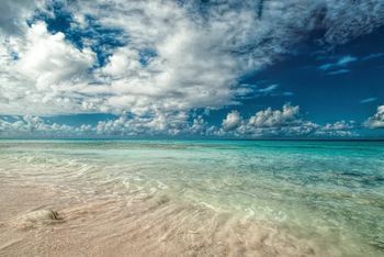Beach or Ocean View