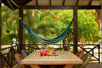 Terrace or Patio