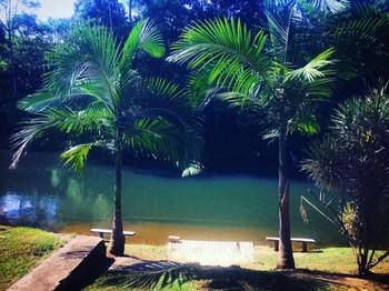 Fazenda Constantinopla photo 2