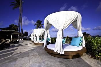 Terrace or Patio