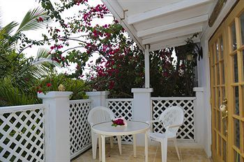 Terrace or Patio