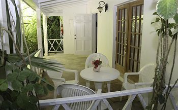 Terrace or Patio