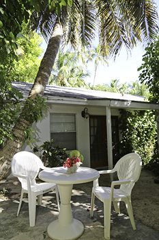 Terrace or Patio