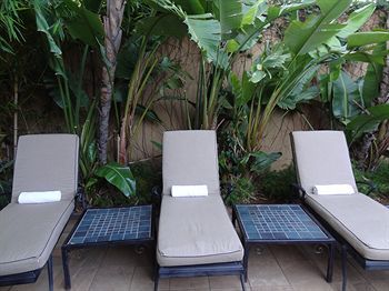 Terrace or Patio