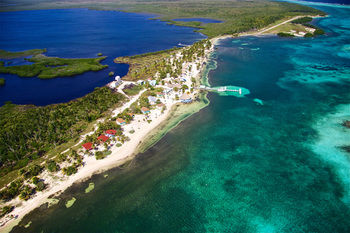 Blackbird Caye Resort photo 2
