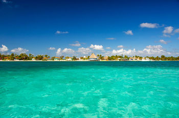Blackbird Caye Resort photo 5