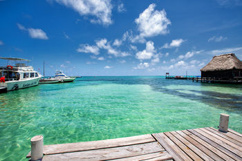Beach or Ocean View