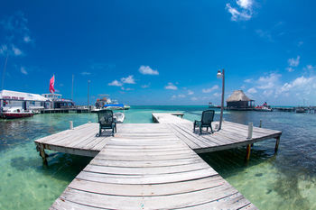 Beach or Ocean View