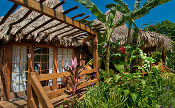 Terrace or Patio