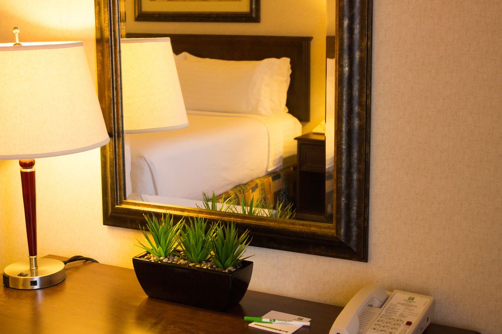 Holiday Inn Hotel & Suites-West Edmonton image 1