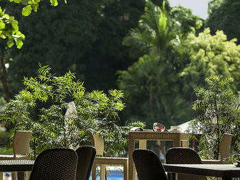 Terrace or Patio