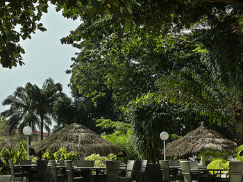 Terrace or Patio