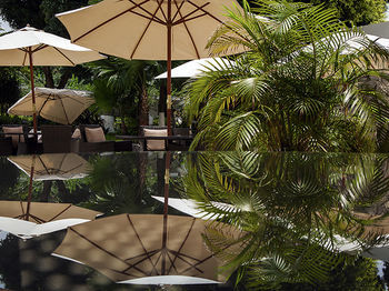 Terrace or Patio