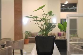 Hotel Interior