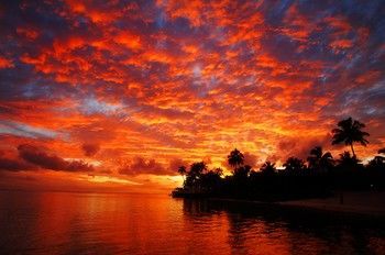 Beach or Ocean View