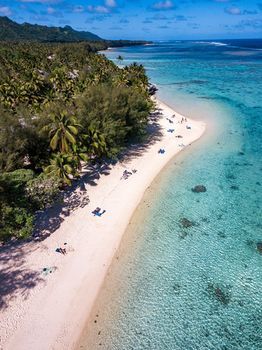 Beach or Ocean View