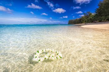 Beach or Ocean View