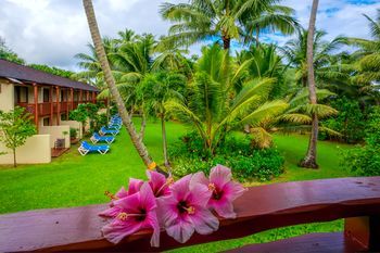 Guestroom View