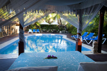 Terrace or Patio