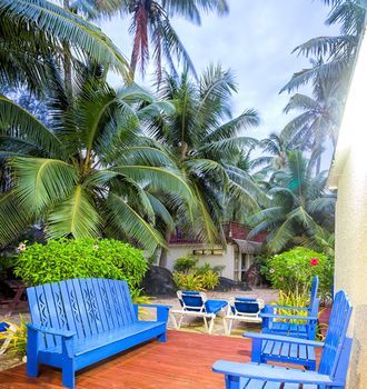 Terrace or Patio