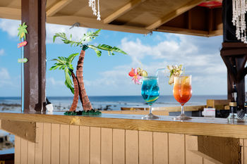Beach or Ocean View