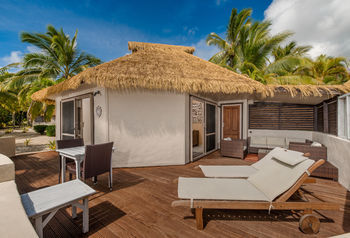 Terrace or Patio
