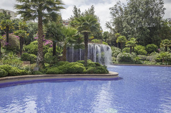 Pool Waterfall