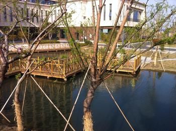 Canal Spring Hotel photo 4
