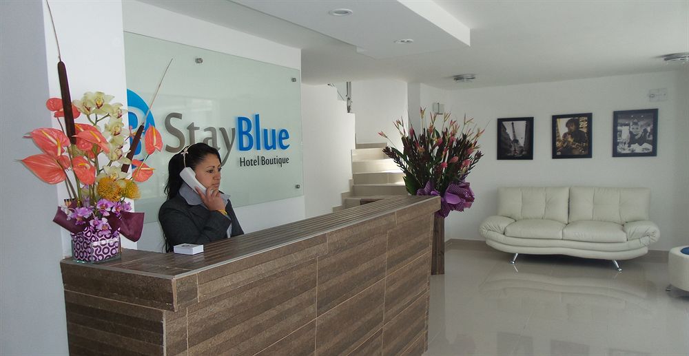 Stay Blue Hotel image 1