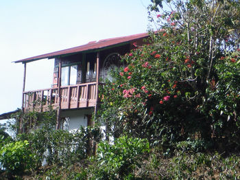 Castle La Corona de Los Santos photo 5