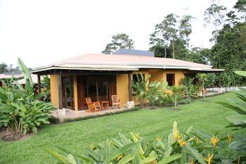 Terrace or Patio