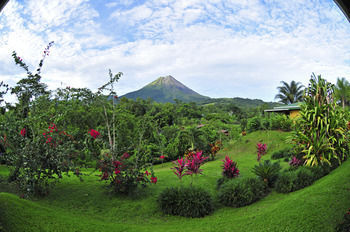View from Hotel