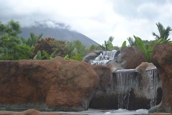 Natural Pool