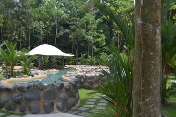Natural Pool