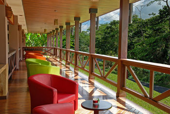 Terrace or Patio