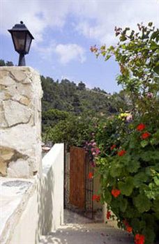 Blue Cottage photo 4