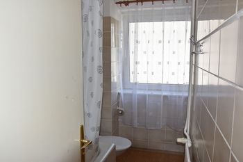 Hotel Alexander photo 4