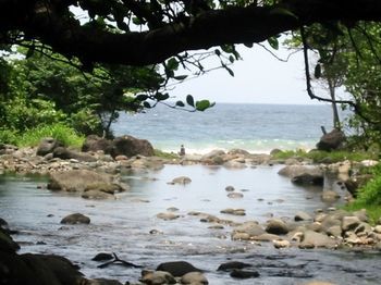 Beach or Ocean View