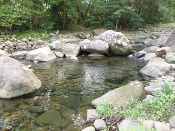 Natural Pool