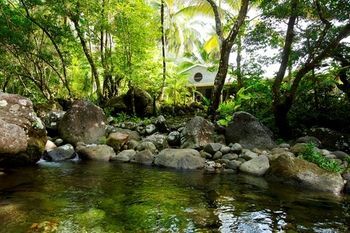 Natural Pool
