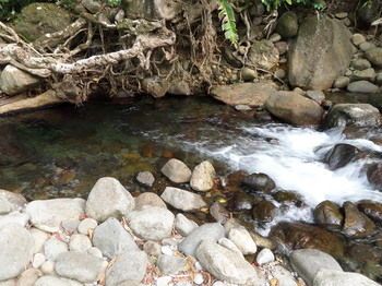 Pool Waterfall