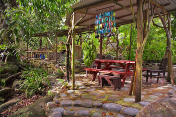 Terrace or Patio