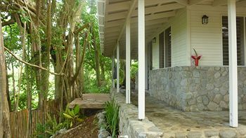 Terrace or Patio