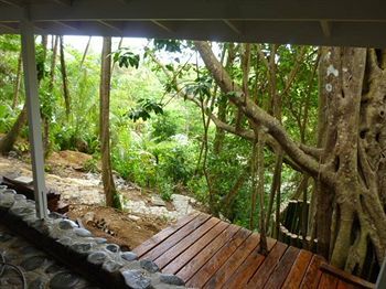 Terrace or Patio
