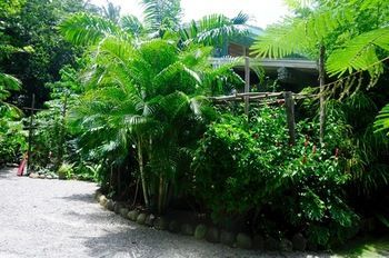 Terrace or Patio