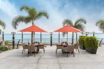 Terrace or Patio