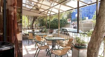 Terrace or Patio