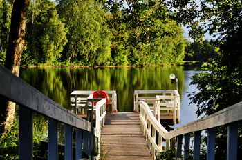 Koivuranta photo 4