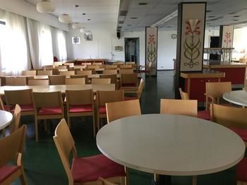 Hopeaniemi Resort photo 5