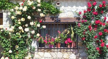 Castel Garoupe photo 4